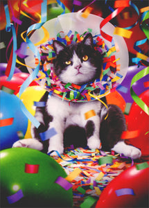 Birthday Greeting Card  - Cat in Party Cone