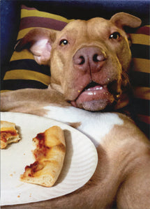 Birthday Greeting Card  - Dog Pizza Plate