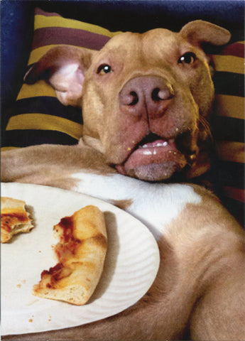 Birthday Greeting Card  - Dog Pizza Plate