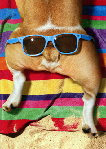 Birthday Greeting Card  - Dog with Glasses on Butt - Belated