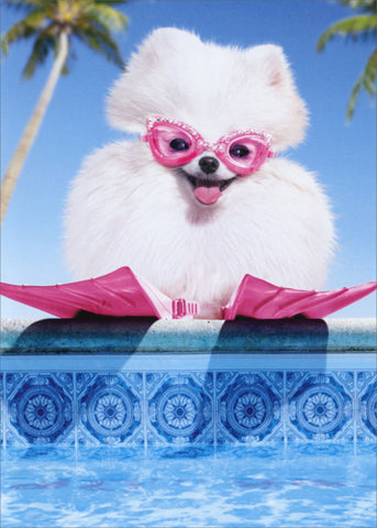Birthday Greeting Card  - Fluffy Dog in Swim Goggles