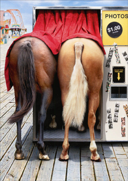 Birthday Greeting Card  - Horses in Photo Booth