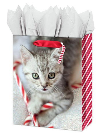 Medium Gift Bag - Christmas Kitten with Glitter Accents