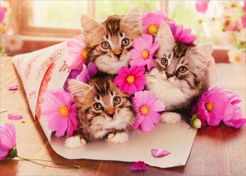 Birthday Greeting Card - Kitten Bouquet