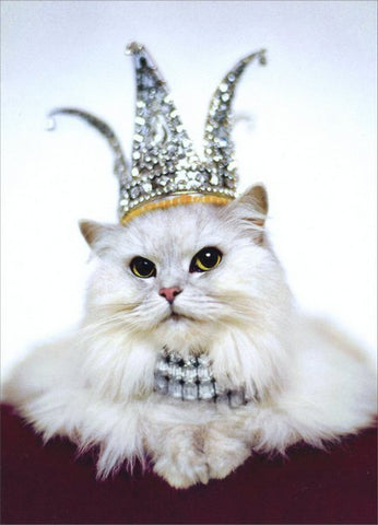 Birthday Greeting Card - Princess Kitten