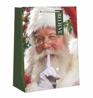 Small Holiday Gift Bag - Believe