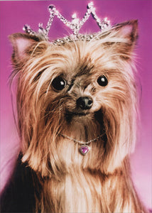 Birthday Greeting Card  - Yorkie Princess