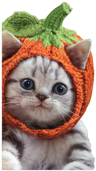 Halloween Greeting Card - Kitten Knit Pumpkin Hat