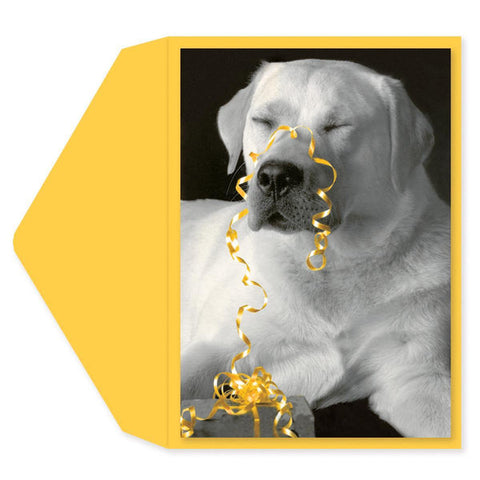Birthday Greeting Card  - Golden Labrador