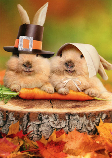 Thanksgiving Greeting Card - Pilgrim Bunnies
