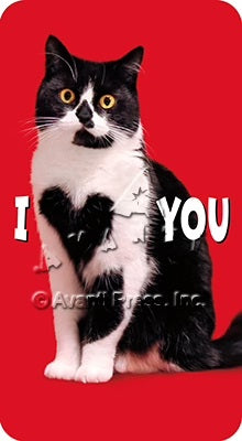 Valentine's Day Greeting Card  - I Heart You Cat