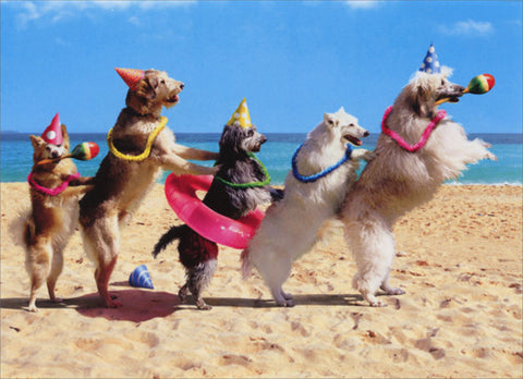 Birthday Greeting Card - Dog Conga Line