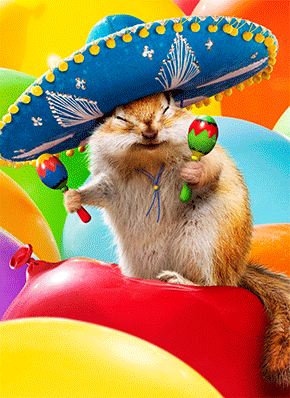 Birthday Greeting Card - Chipmunk Sombrero - Motion