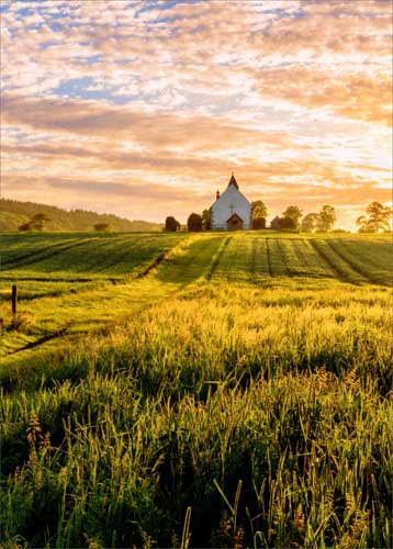 Blank Greeting Card - Church in Vista