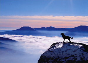 Sympathy Greeting Card - Dog on Mountain