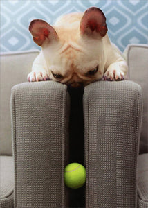 Thank You Greeting Card - Frenchie finds Ball