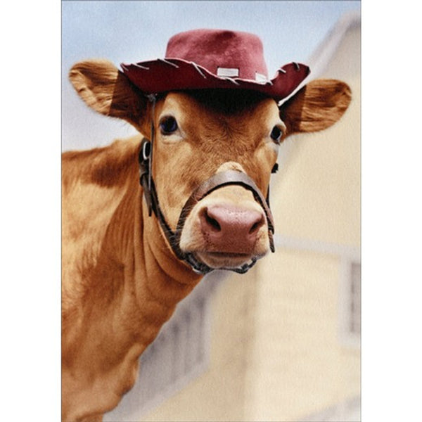 Friendship Greeting Card - Jersey Cow with Hat