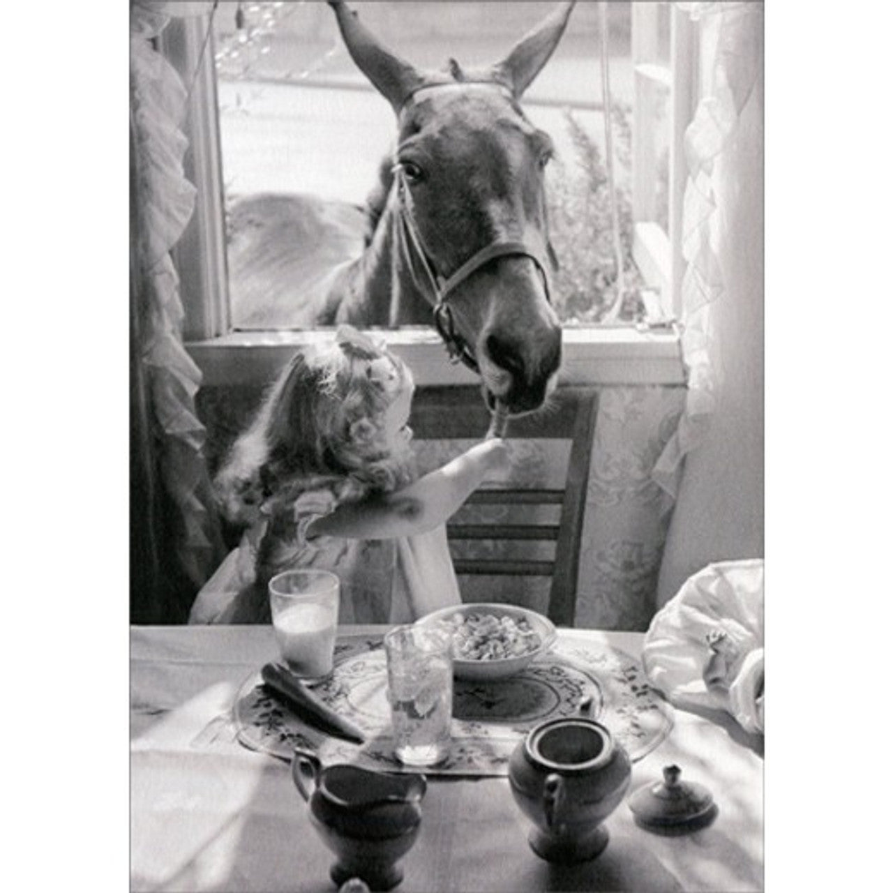 Friendship Greeting Card - Francis the Mule