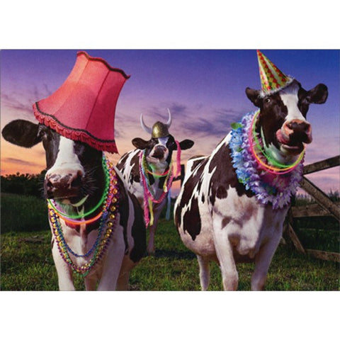 Birthday Greeting Card - Party Cows