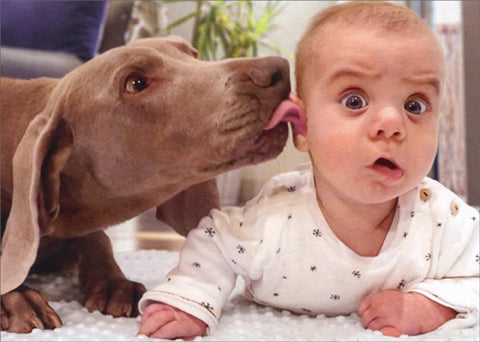 Birthday Greeting Card - Dog Licks Baby's Ear