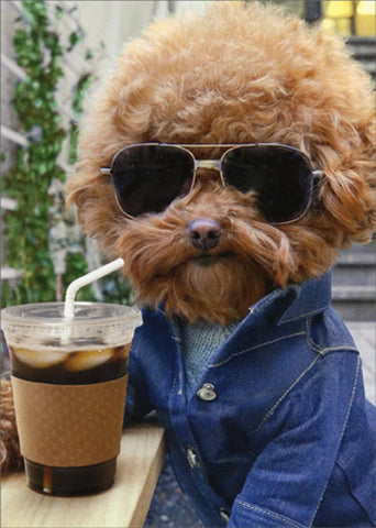 Birthday Greeting Card  - Cool Dog with Coffee