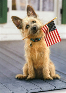 Blank Greeting Card - Dog with American Flag