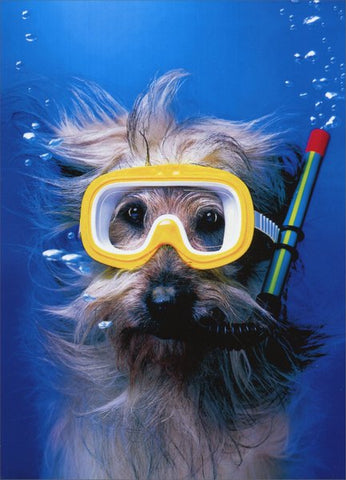 Thank You Greeting Card - Snorkel Dog