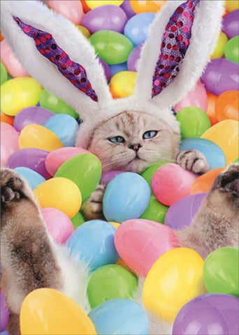 Easter Greeting Card - Bunny Cat with Easter Eggs
