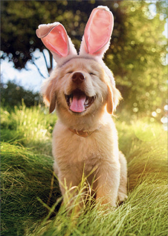 Easter Greeting Card - Golden Puppy