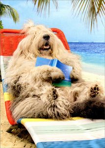 Retirement Greeting Card - Lounging Sheep Dog