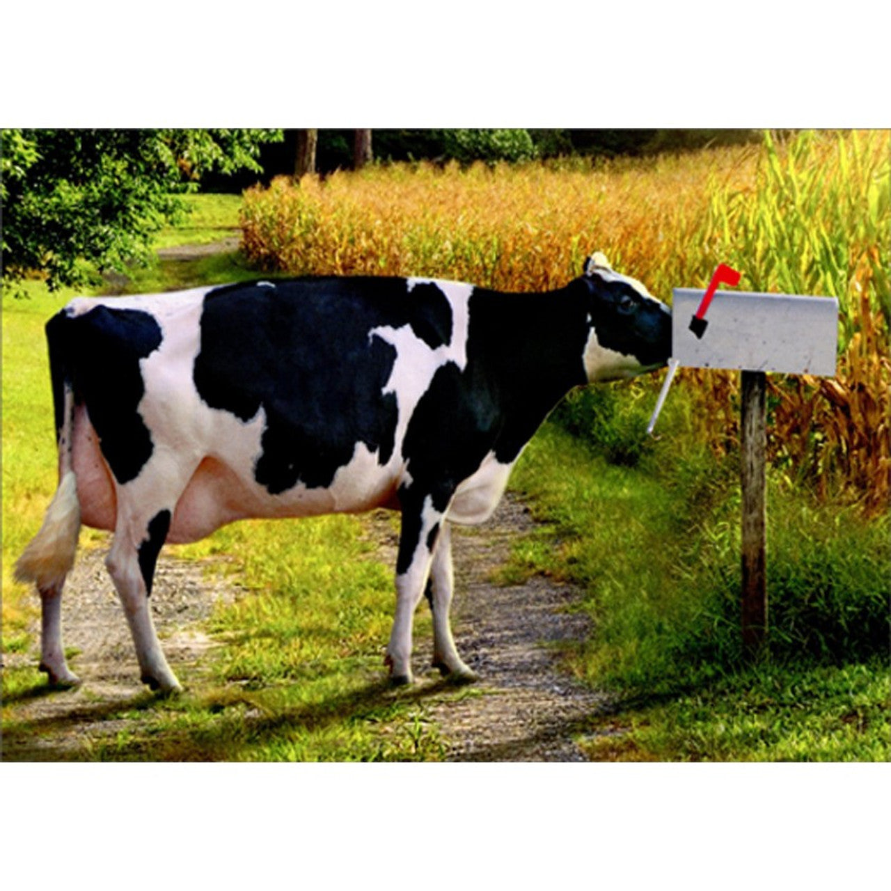 Friendship Greeting Card - Mailbox Cow