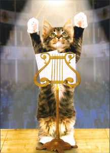 Congratulations Greeting Card - Kitty Konductor