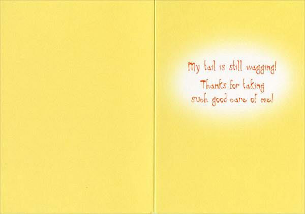 Thank You Greeting Card - Thank you for Dog Sitting