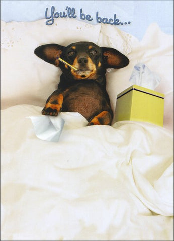 Get Well Greeting Card - Dachsund in Bed