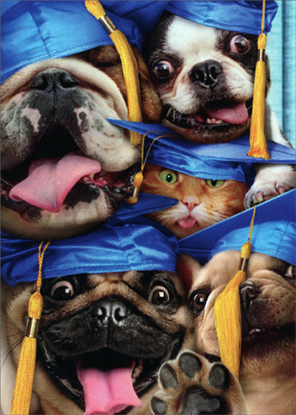Graduation Greeting Card - Dog and Cat Grads in Photo Booth
