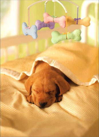 New Pet Greeting Card - Puppy in Crib with Mobile