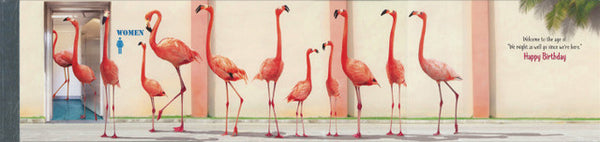 Birthday -Fold Out Greeting Card  - Flamingo Bathroom Break