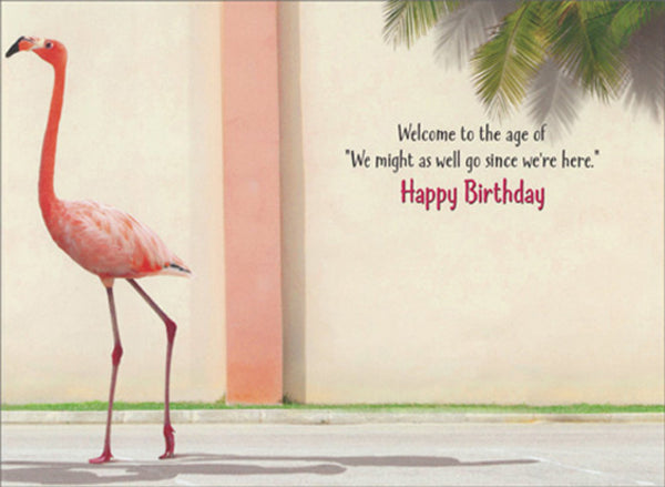 Birthday -Fold Out Greeting Card  - Flamingo Bathroom Break