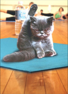 Just Funny Greeting Card - Kitten Yoga