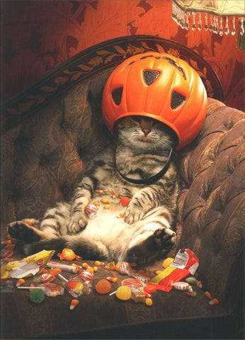 Halloween Greeting Card - Cat Under Candy Bucket