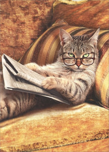 Just Funny Greeting Card - Cat Reading Newspaper