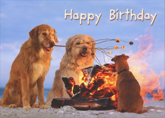 Birthday Greeting Card - S'More Dogs - Pop-Up