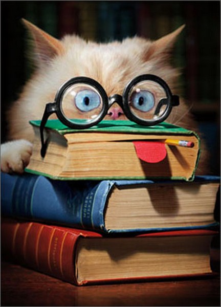 Graduation Greeting Card - Cat with Book Face