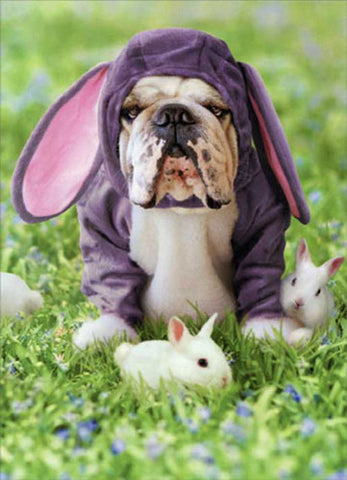 Easter Greeting Card - Hoppy Easter