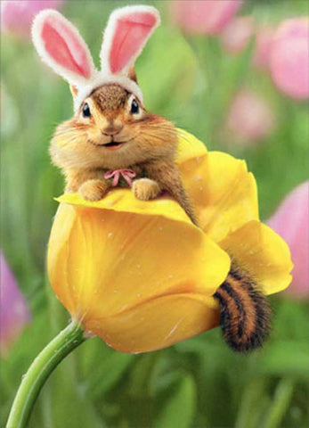 Easter Greeting Card - Chipmunk Bunny in Tulip