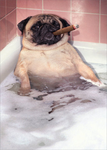 Father's Day Greeting Card - Pug Takes Bubble Bath