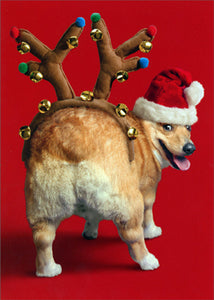 Christmas Greeting Card - Dog with Reindeer Butt