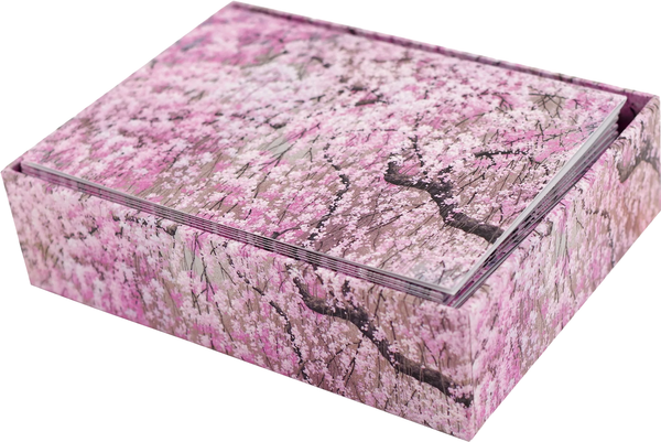 14 ct. Cherry Blossoms Note Cards