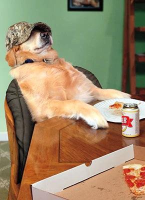 Father's Day Greeting Card - Chill Dog with Beer