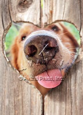 Valentine's Day Greeting Card  - Nose in Fence